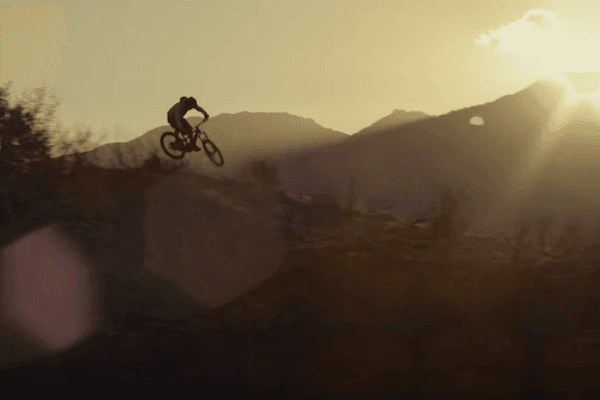 Specialized // Turbo Levo