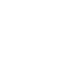 Motion State
